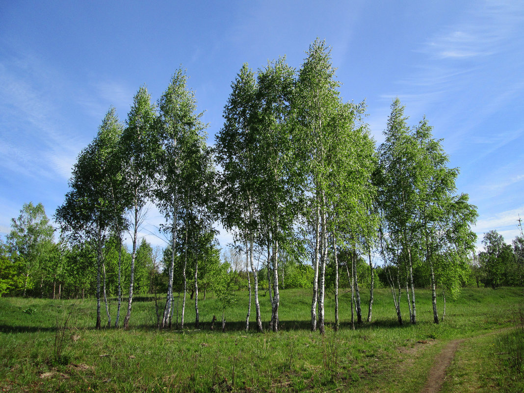 *** - Валентина Береснева