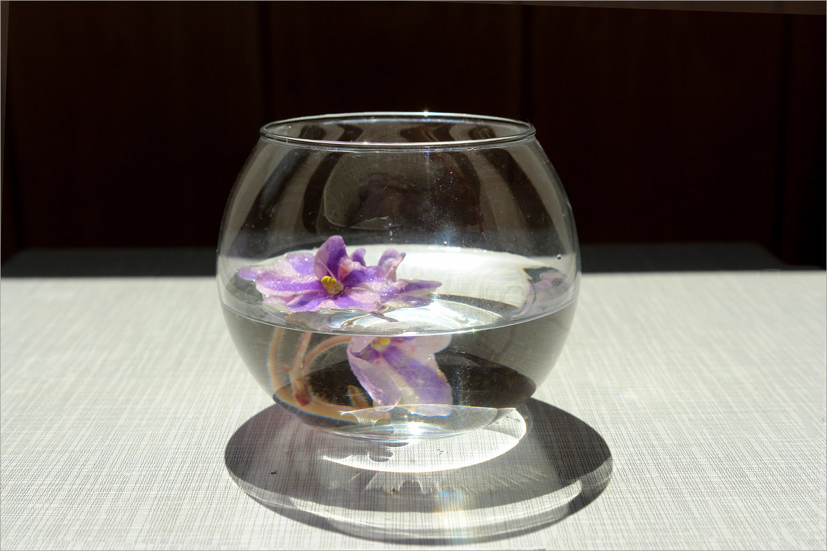 цветок в вазе - Елена Подоляк