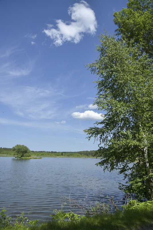 Озеро Лугавка - юрий Амосов