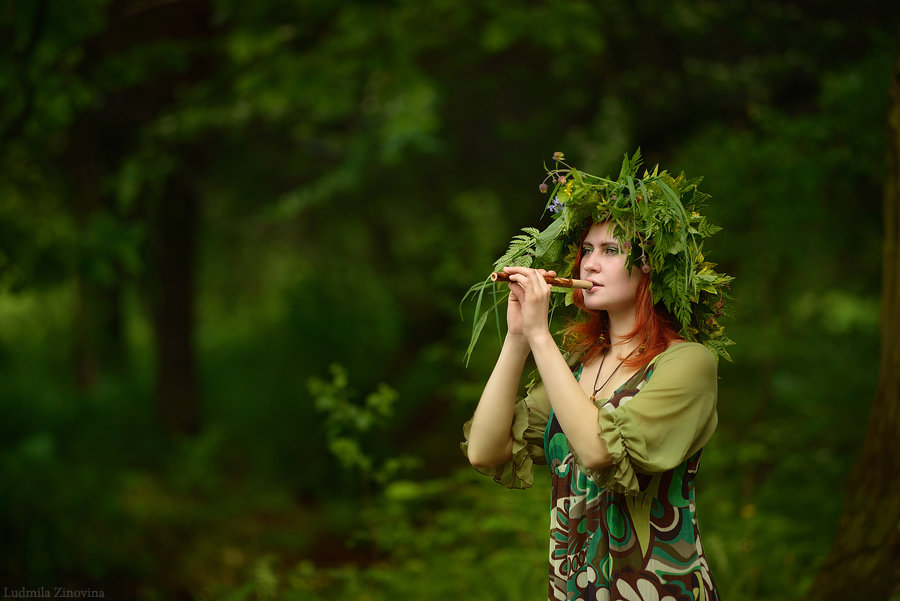 Обитатели леса - Ludmila Zinovina