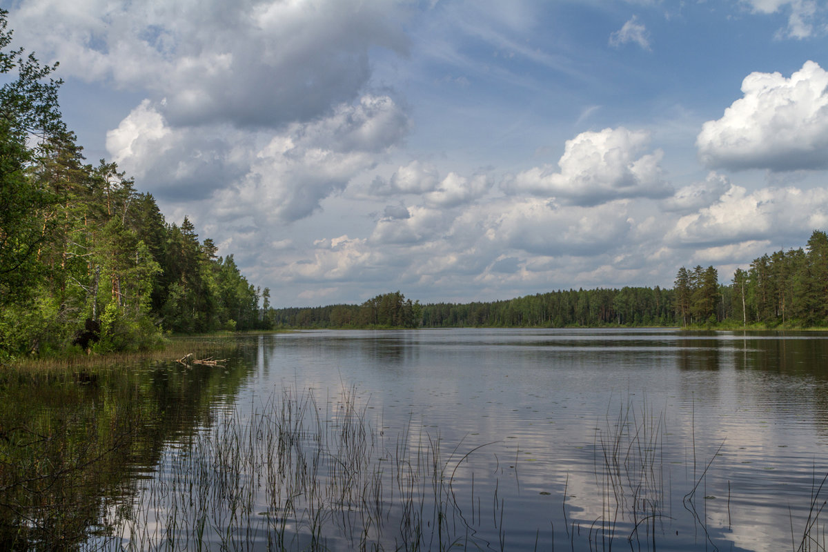 Озеро шварковское - Сергей Быстров