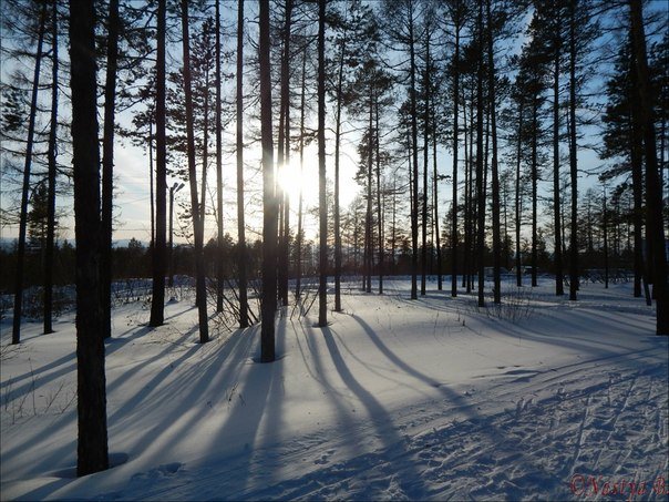 Прогулка на лыжах - Анастасия Братчикова