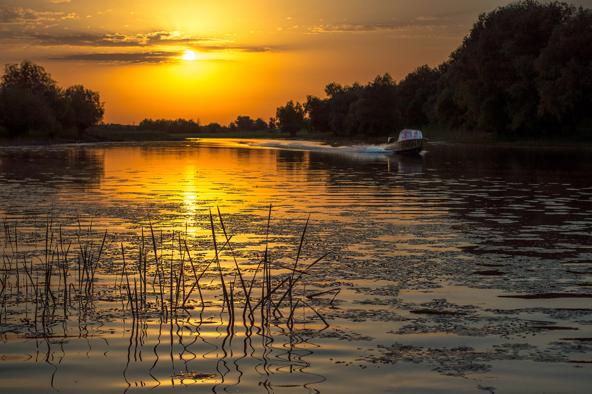 На оранжевом закате прокатиться по реке - Алена Рыжова