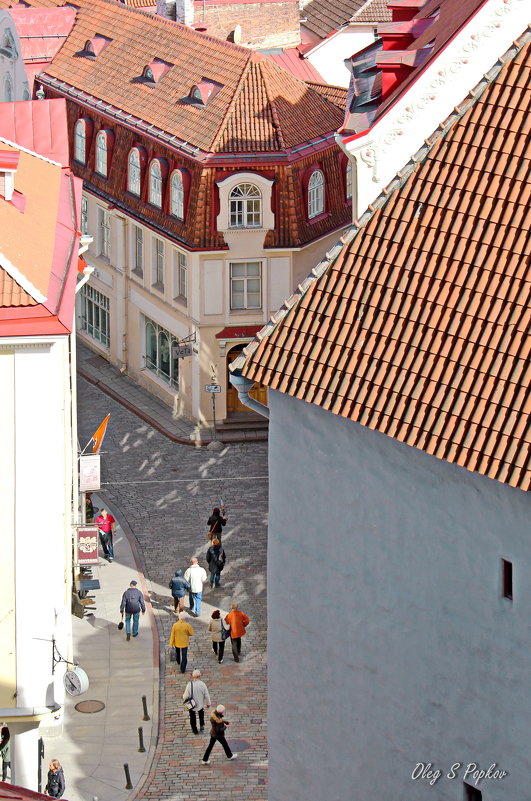Вид на таллинские крыши со смотровой площадки - Олег Попков