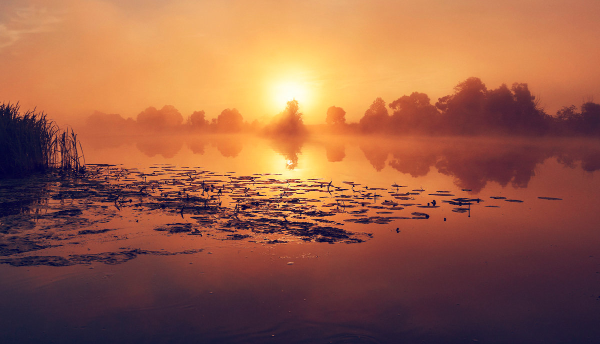 Туманный рассвет на реке Дубна. - Дмитрий Постников