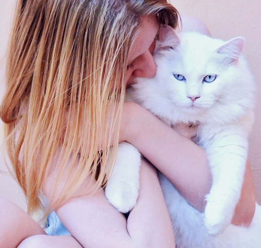 Hug your cat. - Valentina Severinova