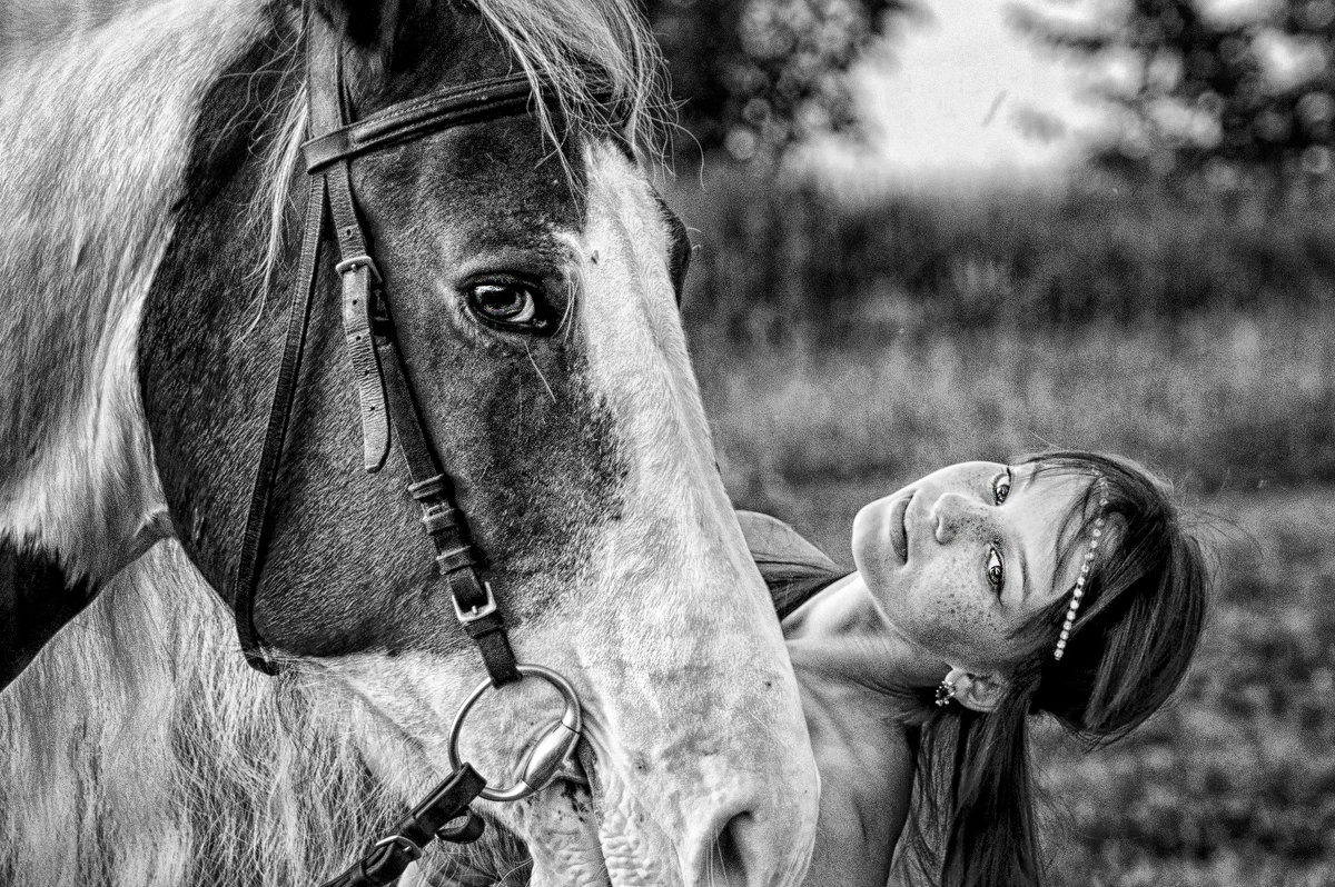 Прогулки на лошадях - Ирина Слайд