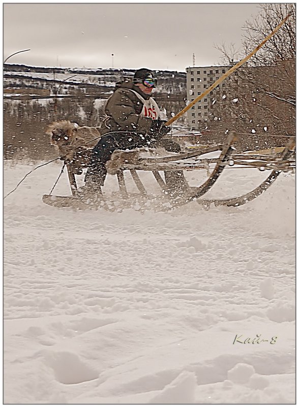 Сегодня День солцезащитных очков!.. - Кай-8 (Ярослав) Забелин