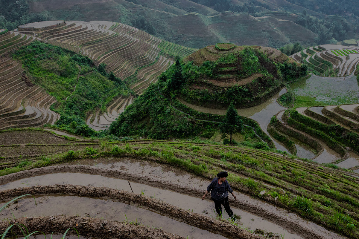 Труд на рисовых террасах в Китае - Андрей Лукашенко