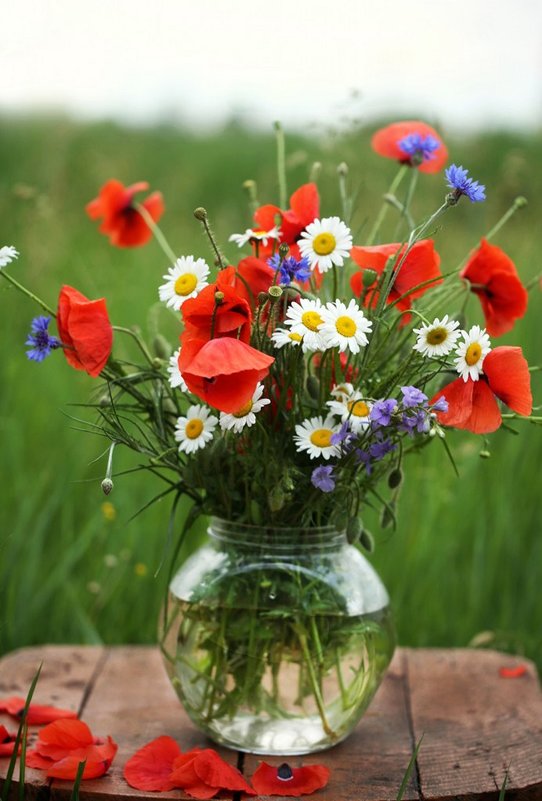 Букетик скромный полевых цветов - Нилла Шарафан