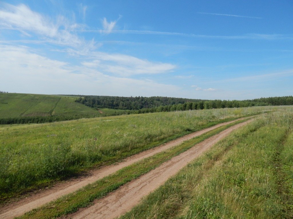 Дорога в поле - Рамиль Нигматуллин