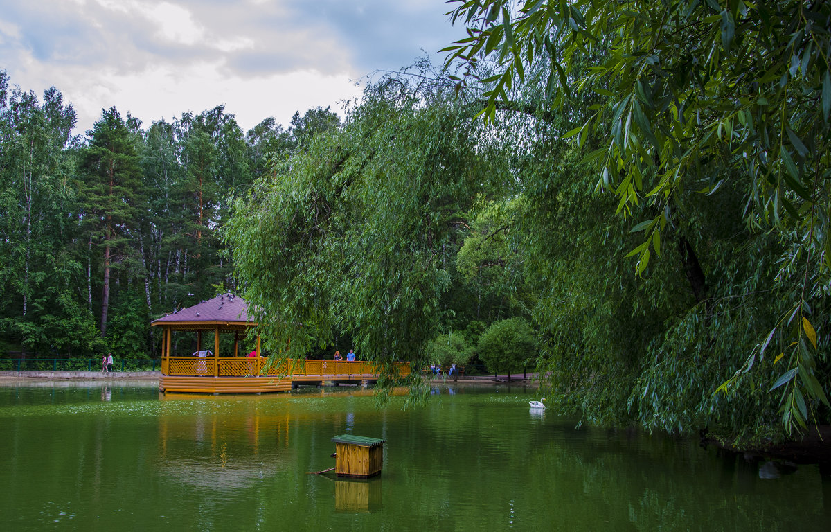 Беседка в зоопарке