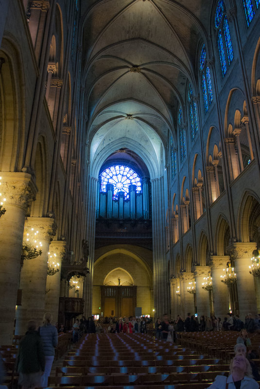 Paris. Notre Dame - Олег Oleg