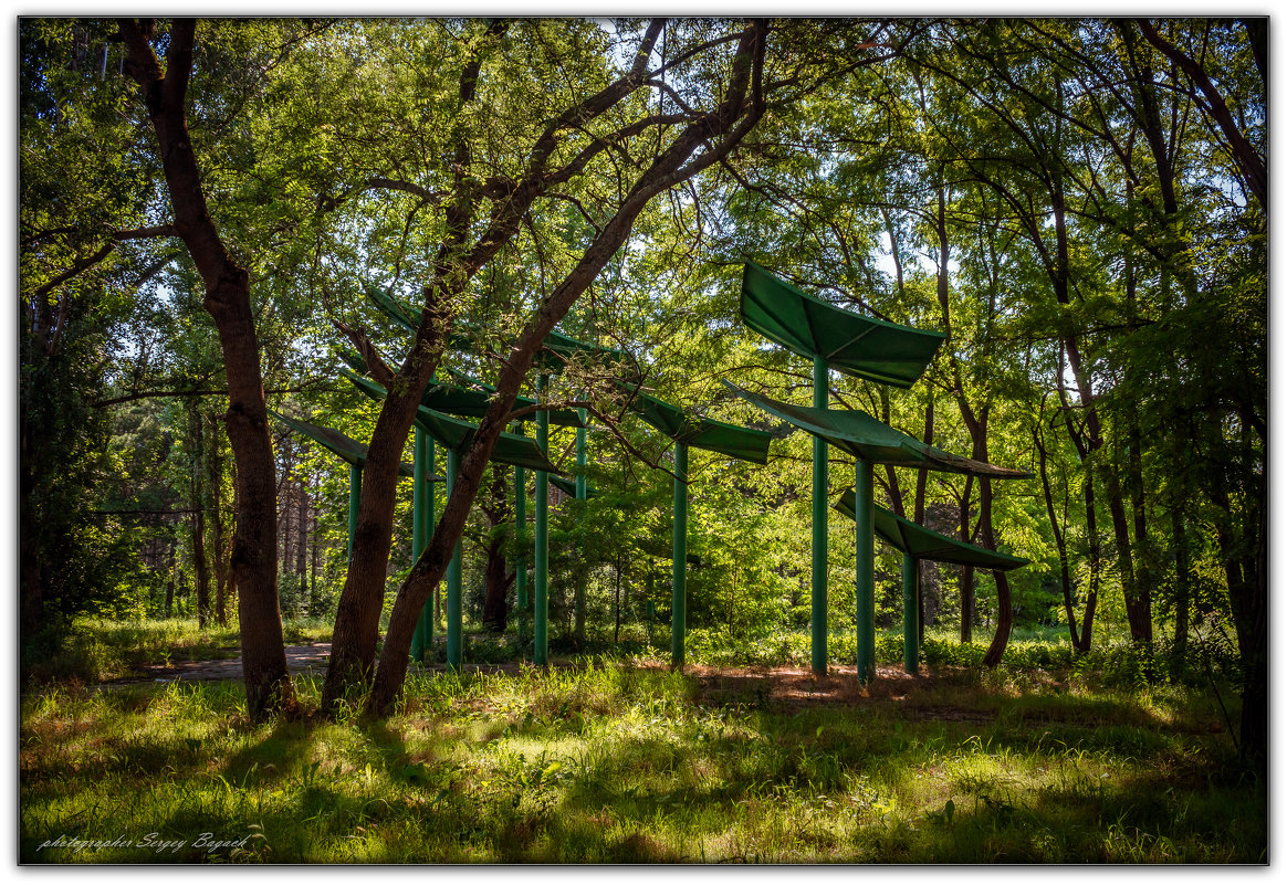 в глубине парка - Sergey Bagach