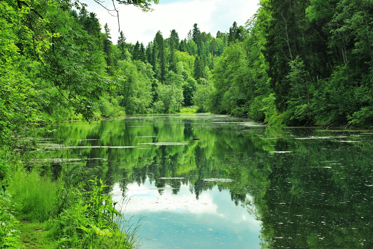 Радоновое озеро - Iulia Efremova