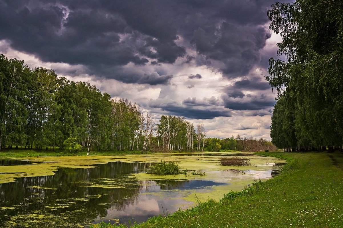 *** - Александр Тулупов