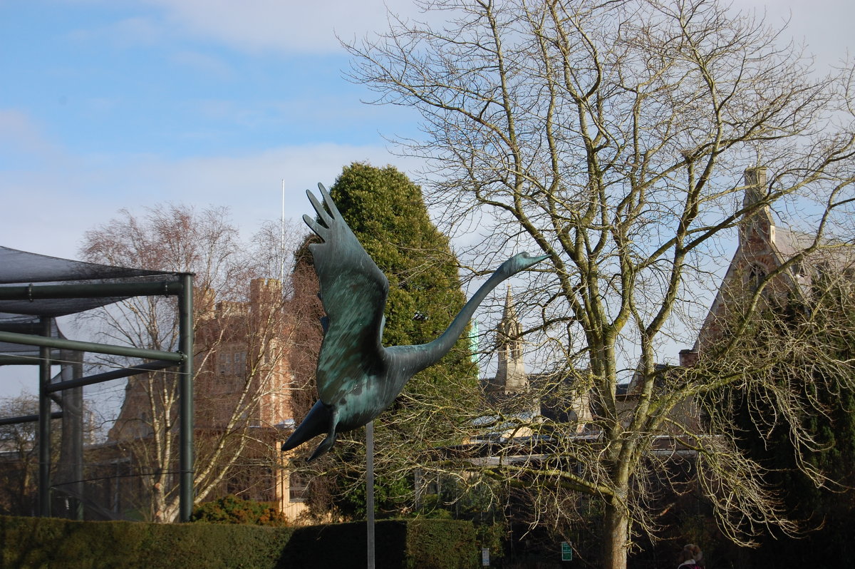 Скульптура лебедя - Natalia Harries