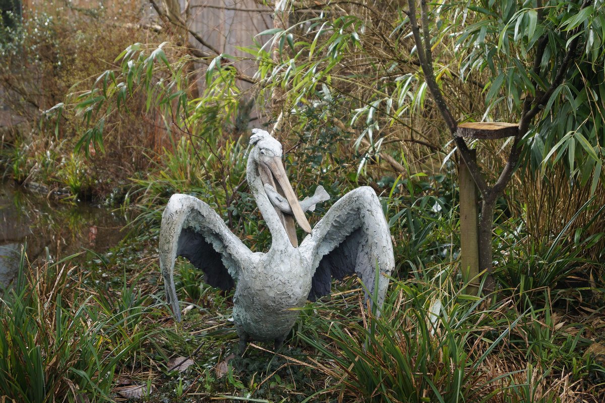 Скульптура пеликана - Natalia Harries