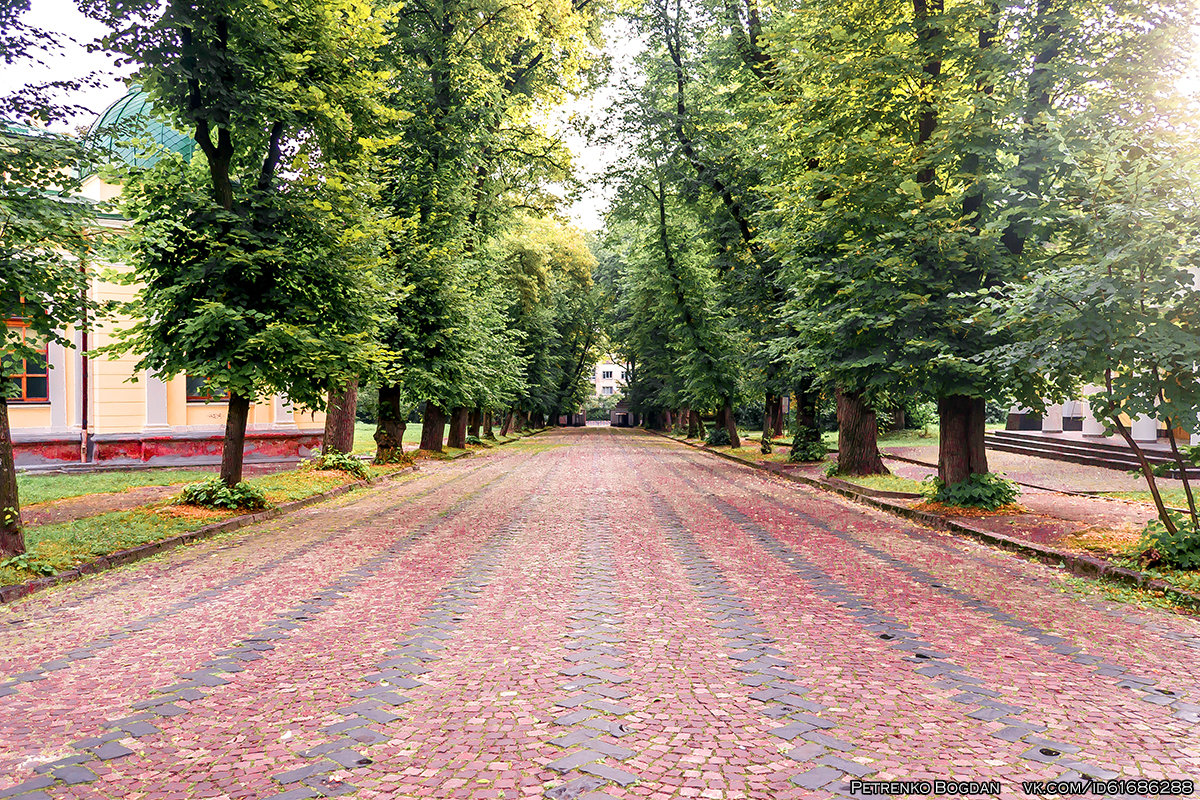 Парк во Львове - Богдан Петренко