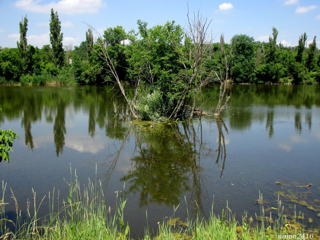 Озеро в ростовском зоопарке - Нина Бутко