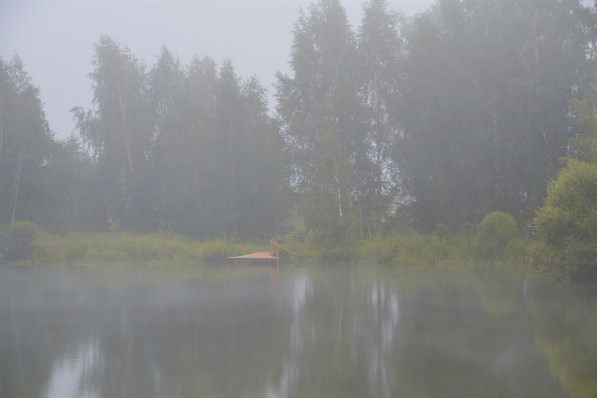 туман на пруду - Александр С.