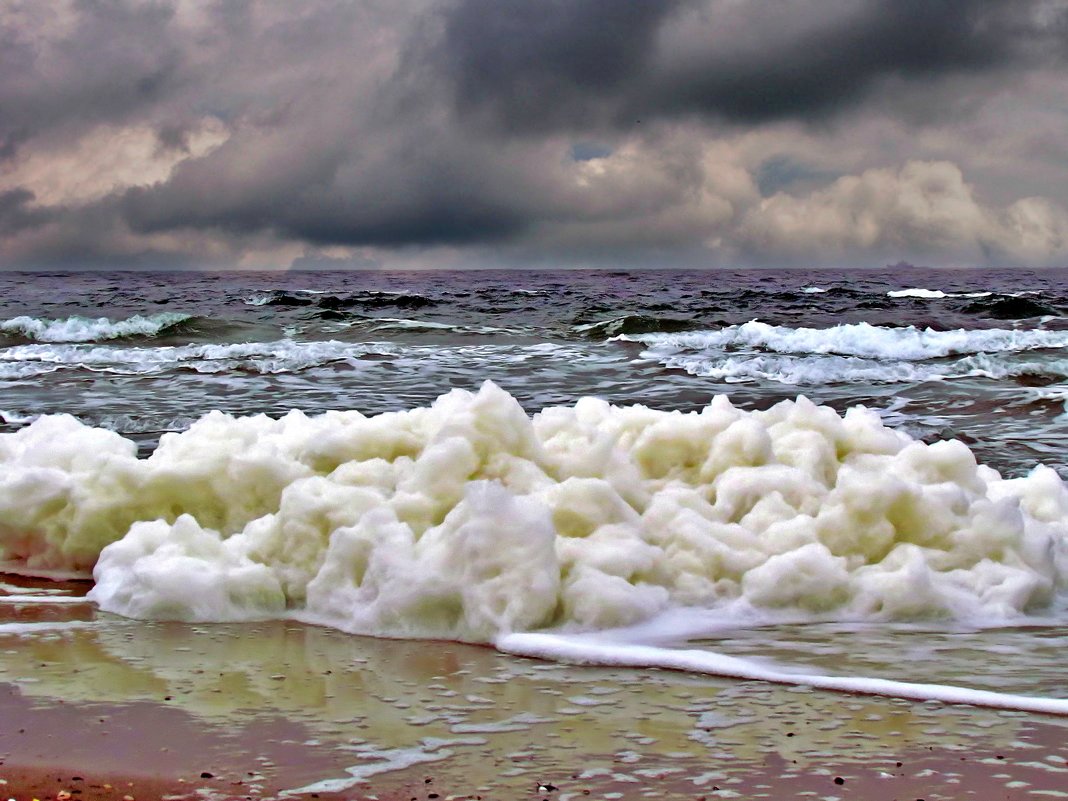 прогулки к морю - Александр Корчемный