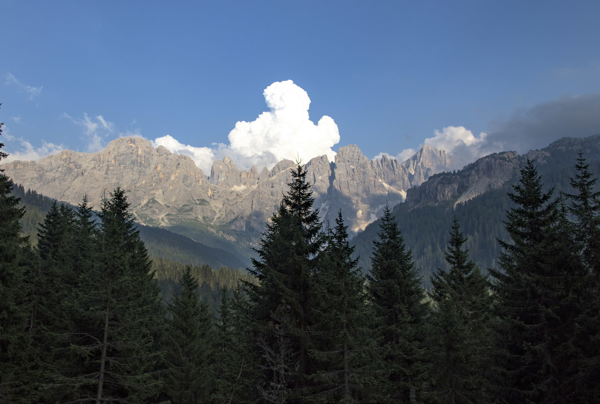 San Martino di Castrozza - Trentino - Олег 