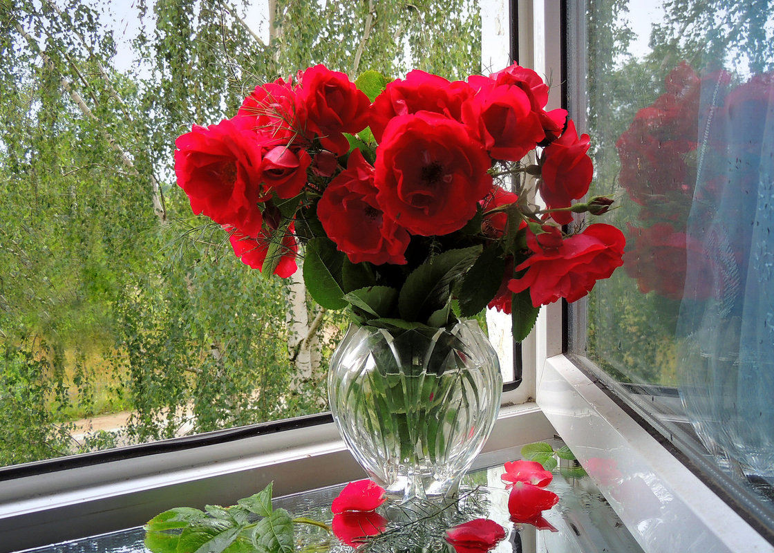 Розы на моем окне - Павлова Татьяна Павлова
