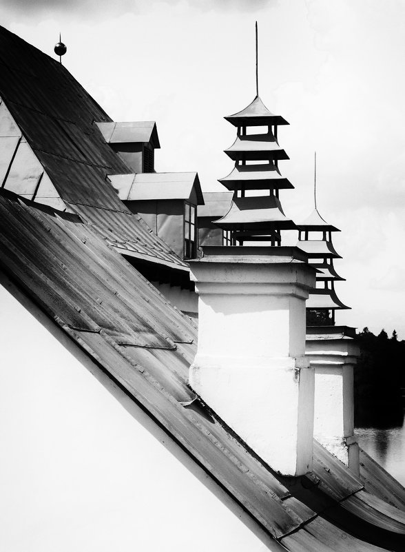Фрагмент крыши Приоратского дворца. - Vladimir Kraft