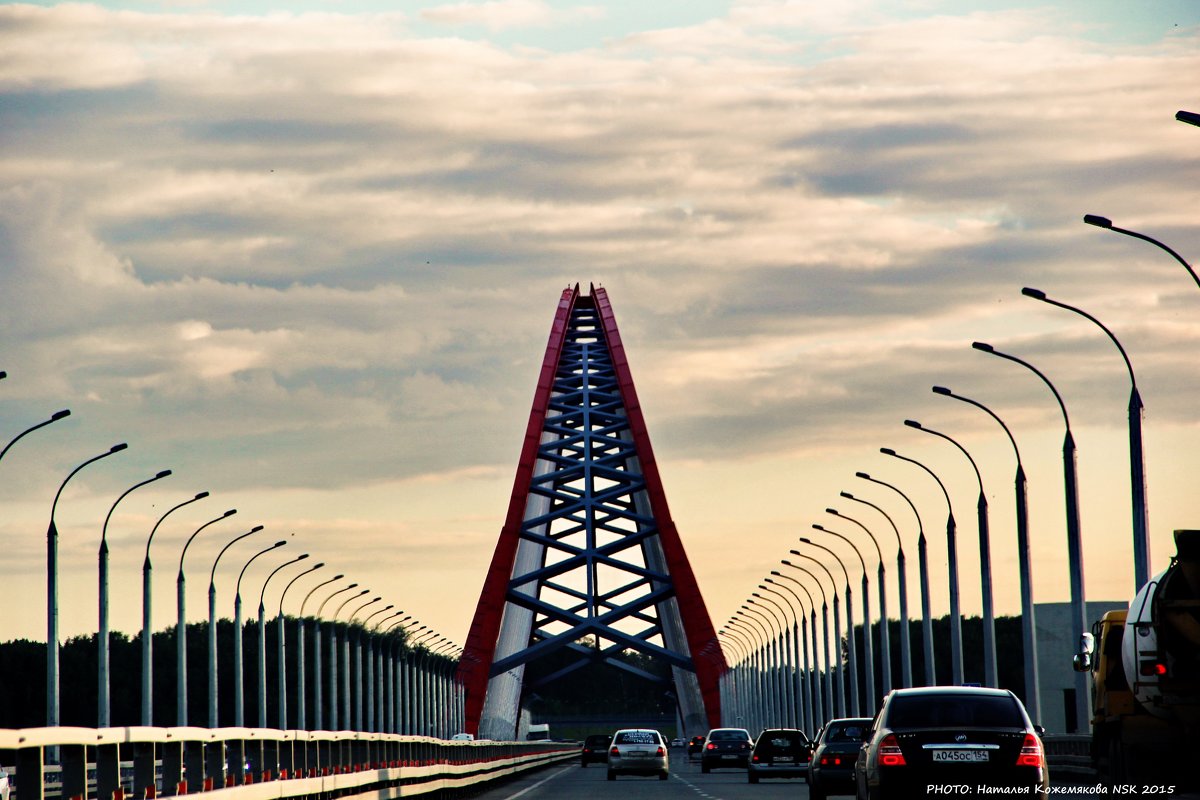 Бугринский мост. Новосибирск - Наталья Солнышко