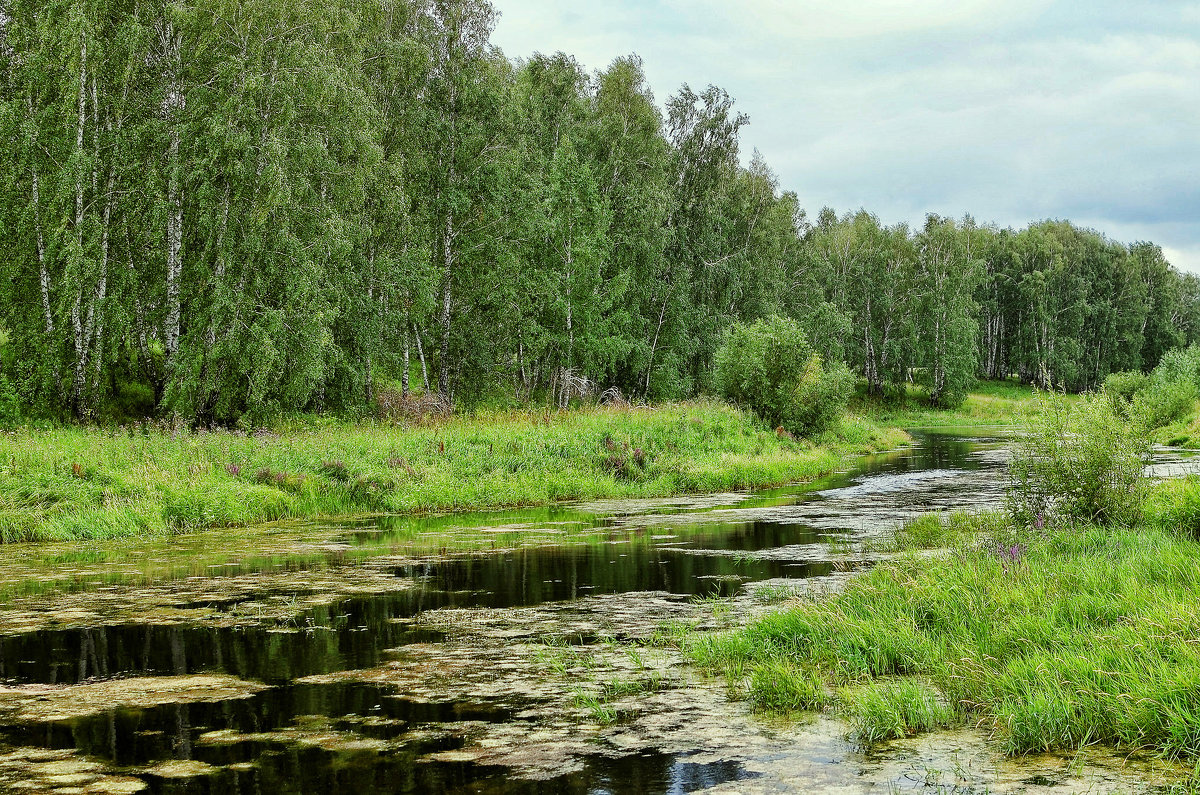 Река Верх Тула - Дмитрий Конев