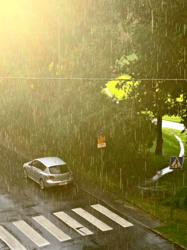 дождь и солнце - Елена 