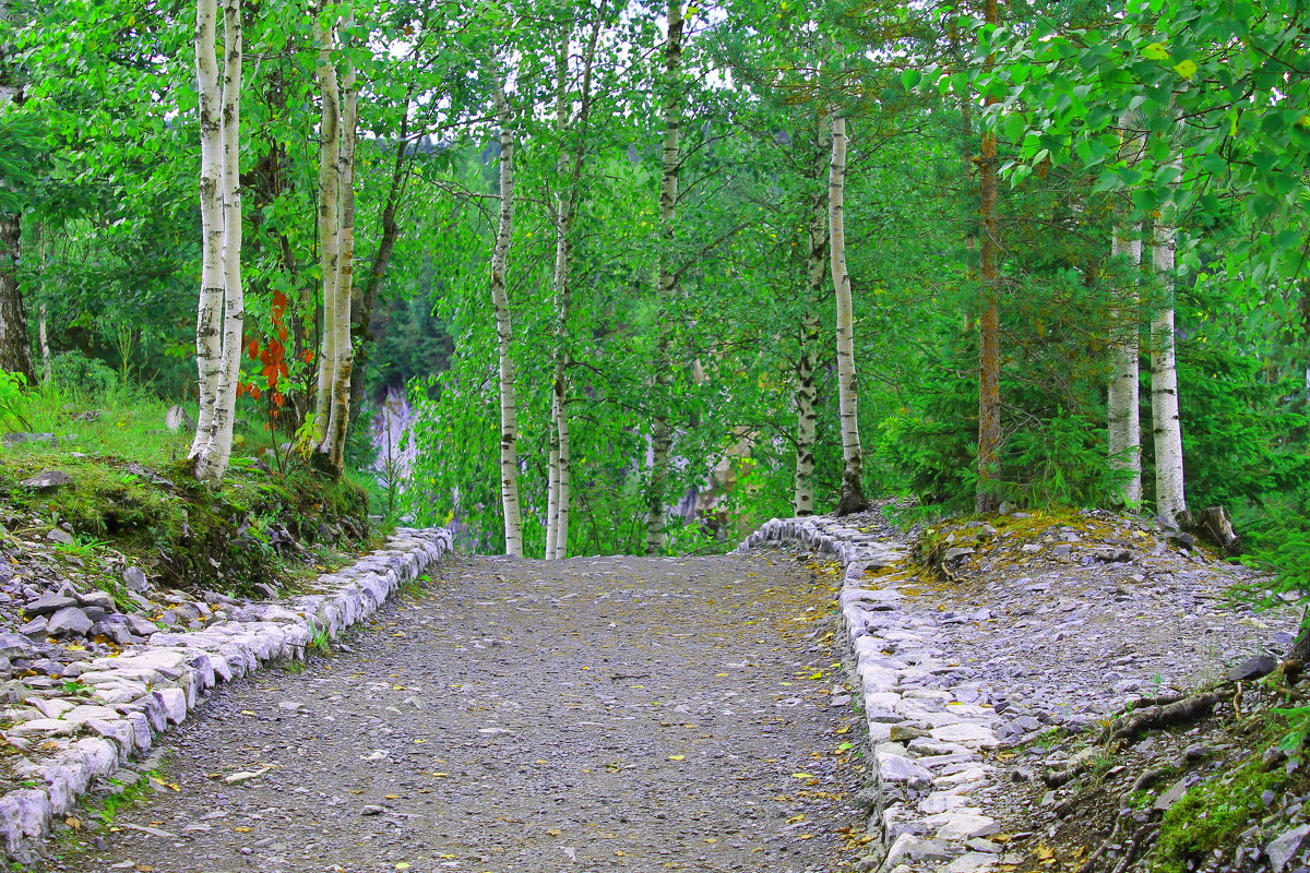 Дорожка средь карельских лесов - Владимир Ладис