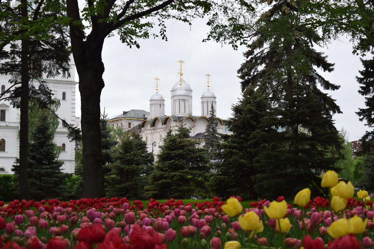 Кремлёвские пейзажи мая - Андрей 