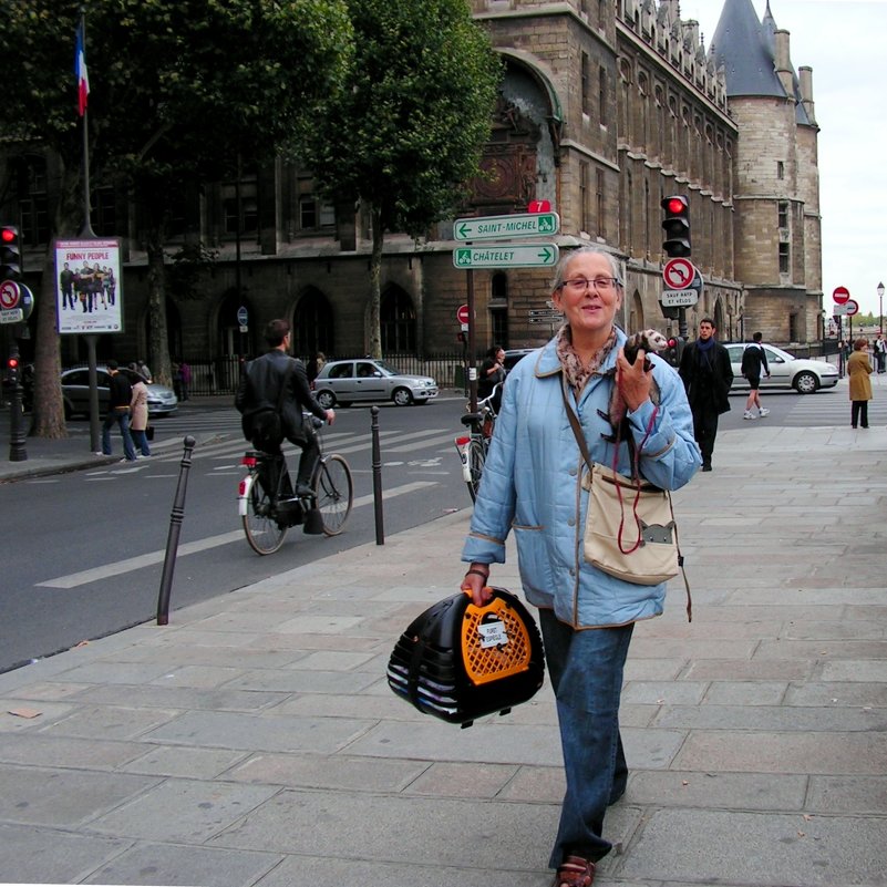 Прогулки по Парижу: парижанка - Елена Даньшина