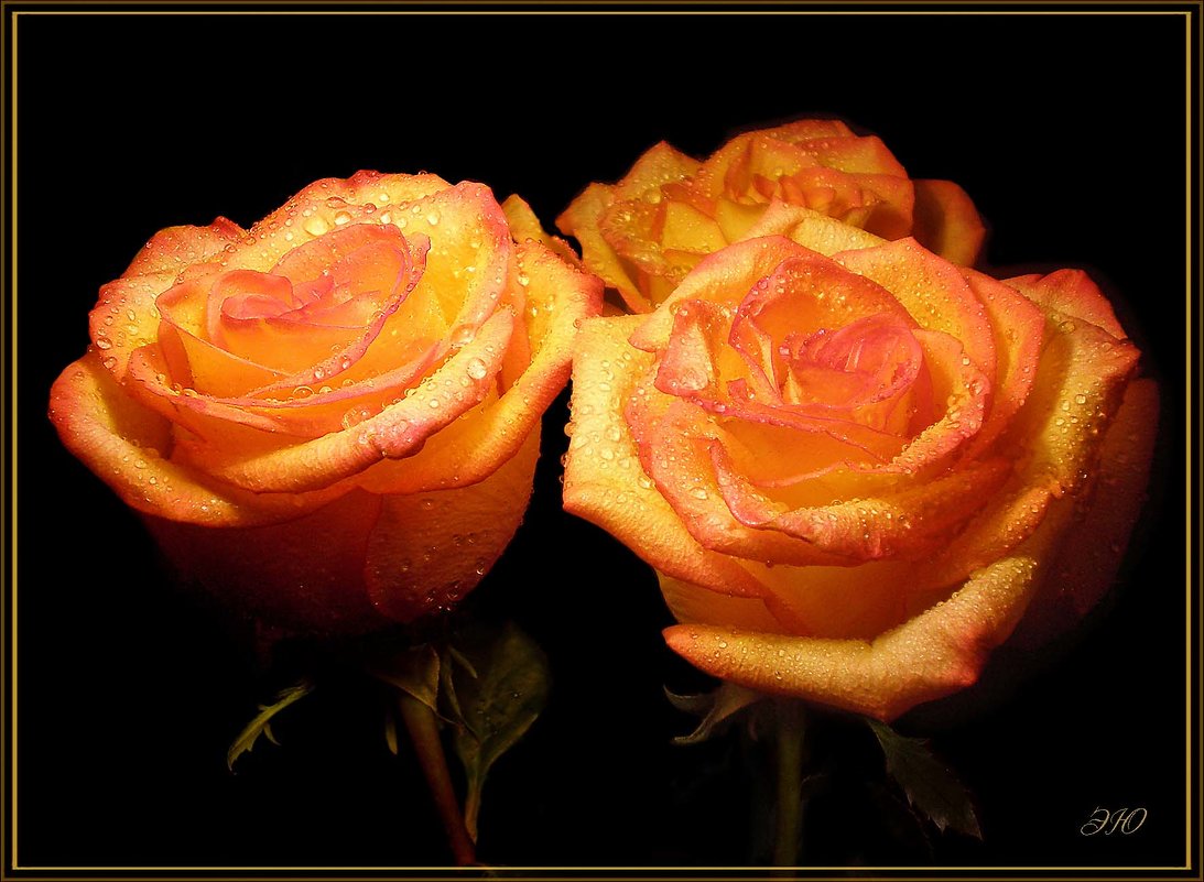Три розы... - Эля Юрасова