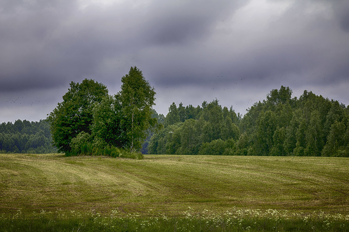 *** - Александр 