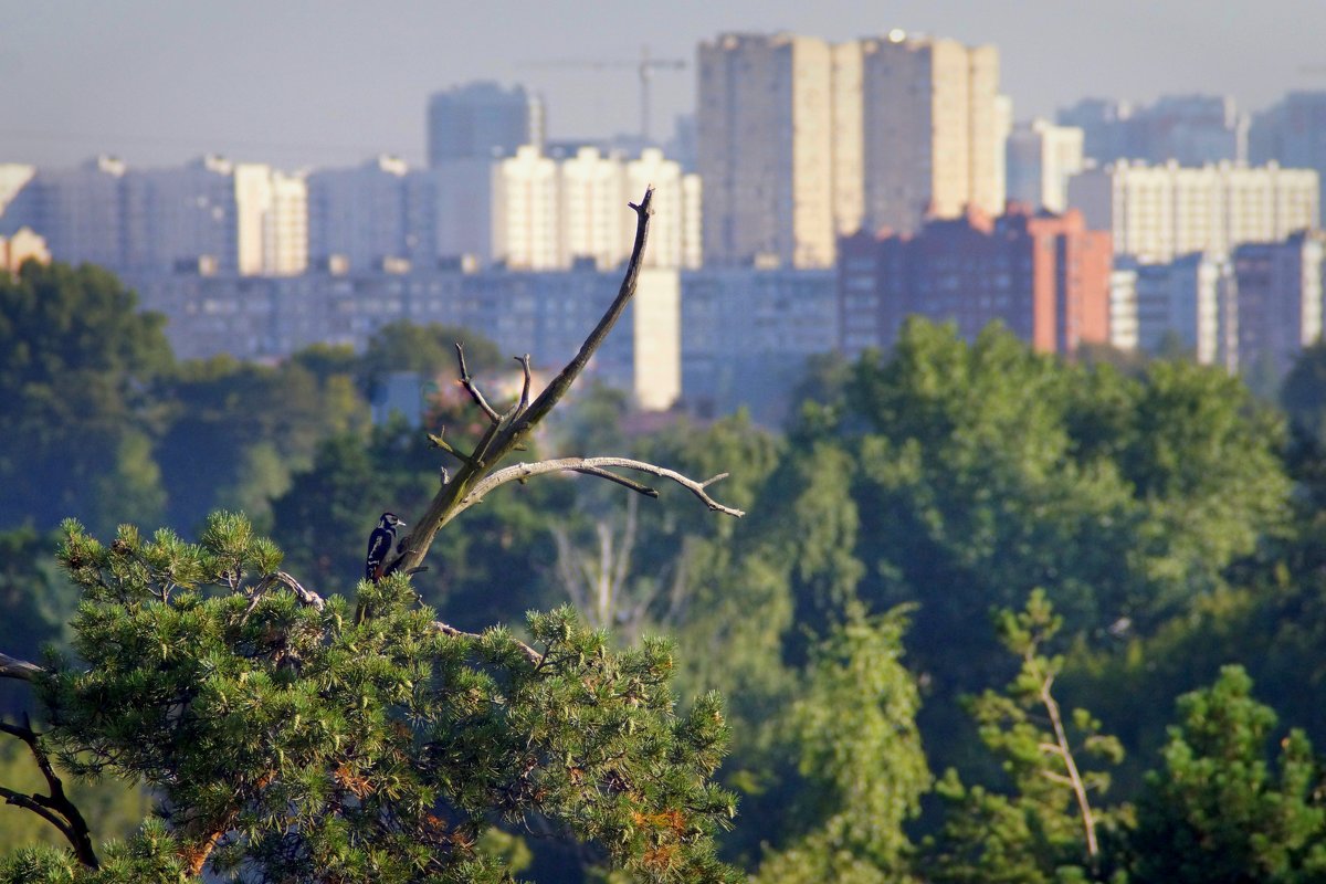 Городская окраина - ВАЛЕРИЙ 