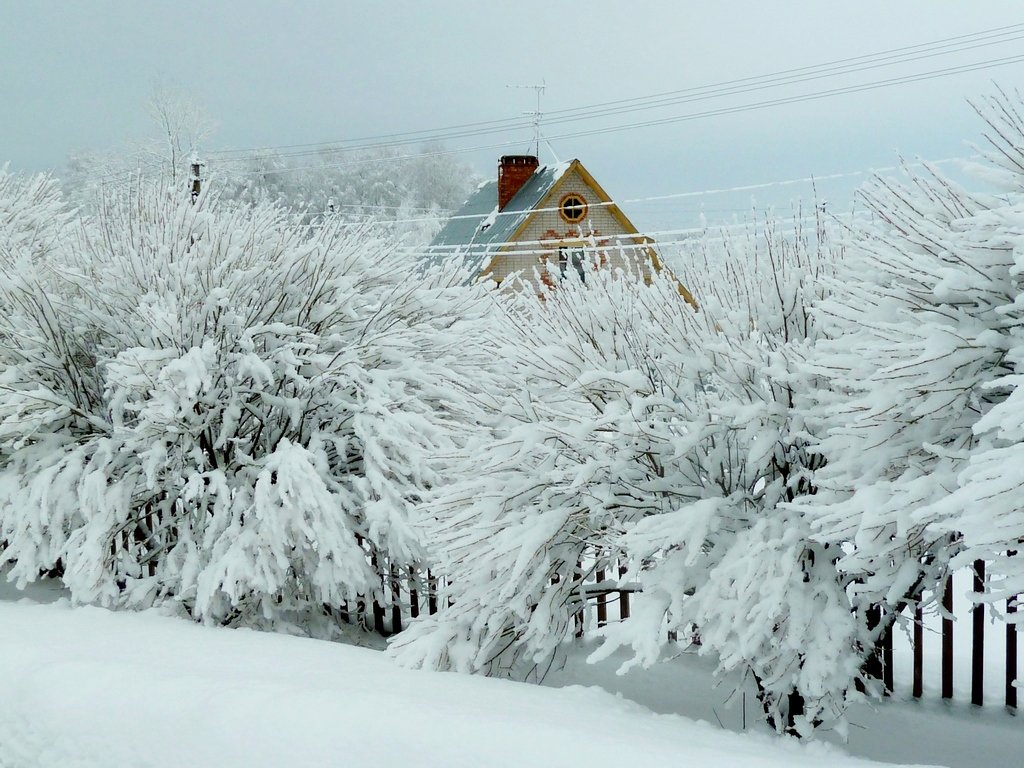 МОЯ ДЕРЕВНЯ. - Виктор Осипчук