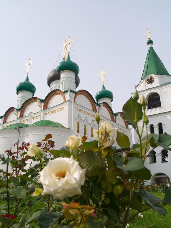 Печорский монастырь - Николай Полыгалин