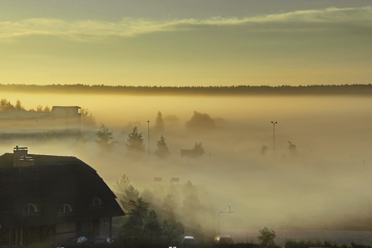 Утренний туман в Литве... - Alex S.