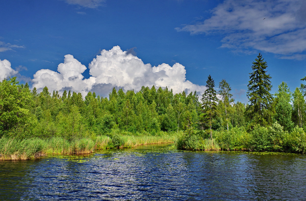 Озеро Даниковское - Валерий Талашов