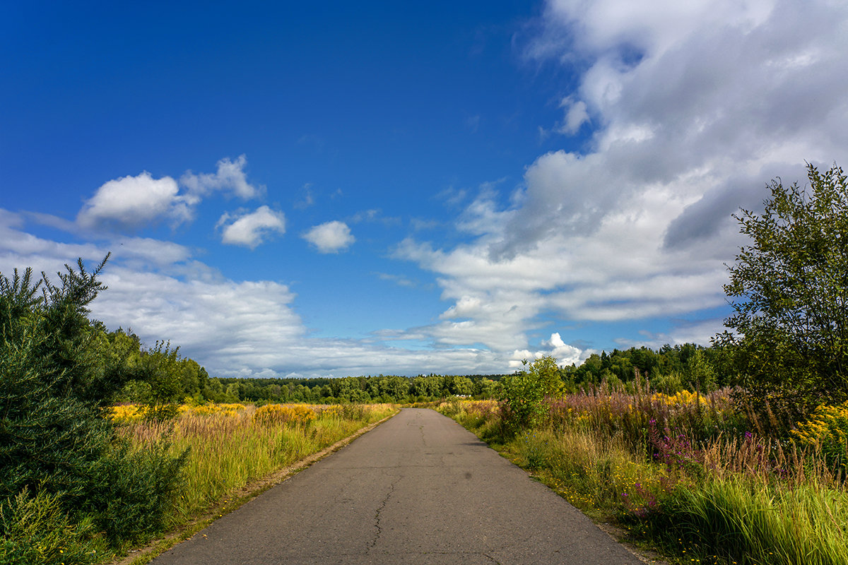 road - Zinovi Seniak