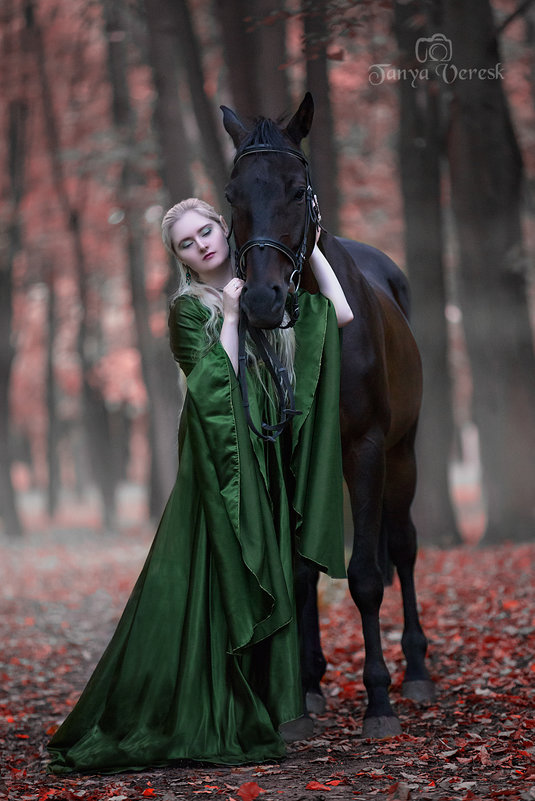 Девушка и конь - Таня Вереск