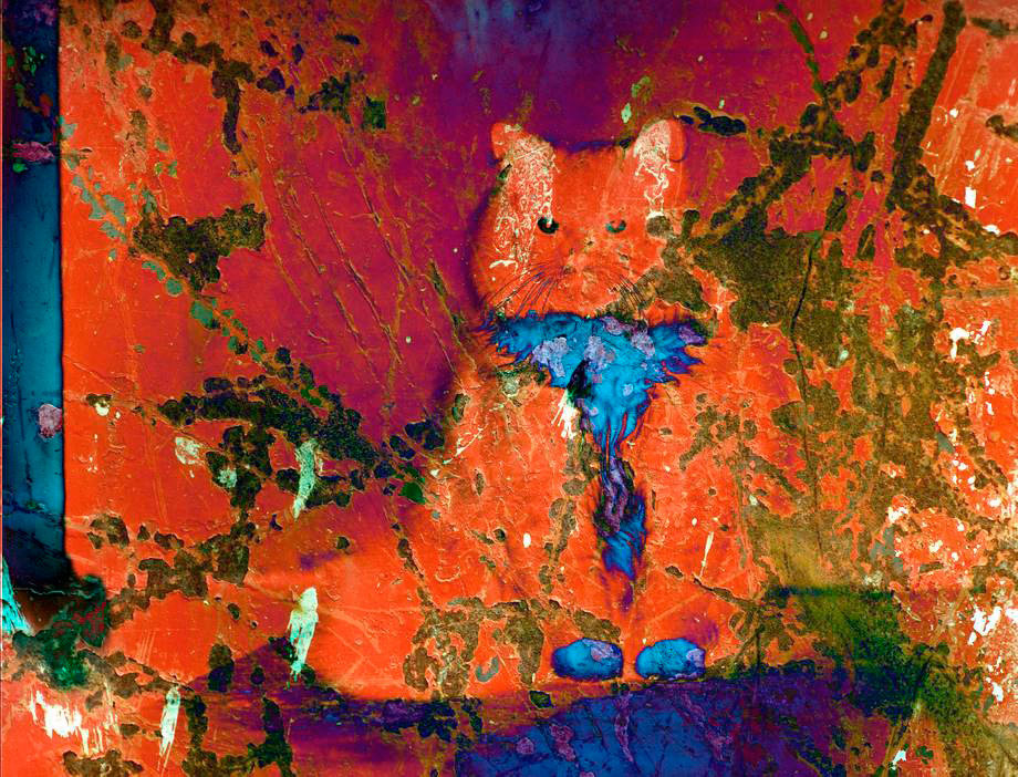 Красный кот в синем галстуке - valeko 