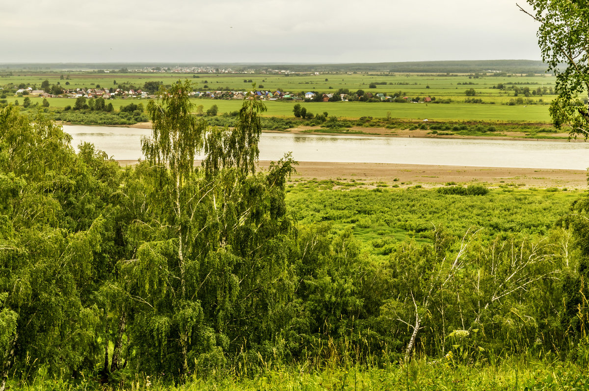 Вид на реку Томь - Дмитрий Потапкин