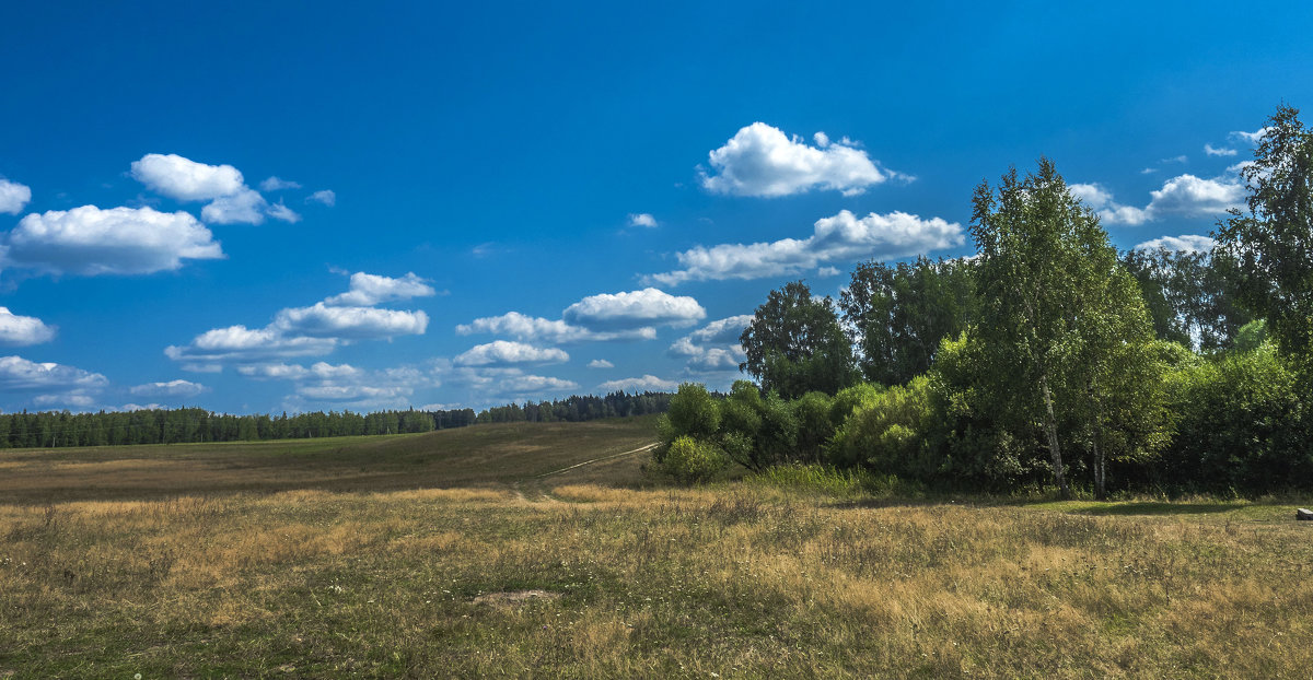 поле - Лариса Батурова