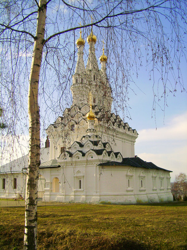 церковь Одигитрии, Вязьма - Lidiya 