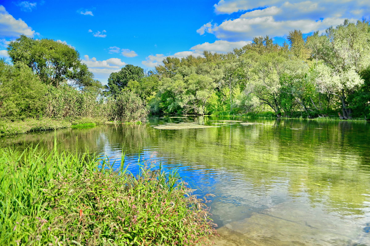 Картинки белгородской области природа