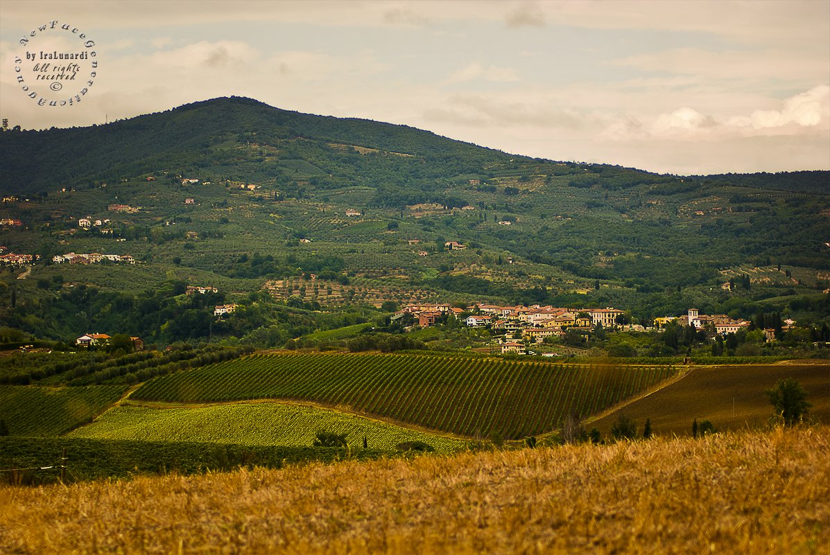 TOSCANA, VINCI, 24-08-2015 - ira mashura